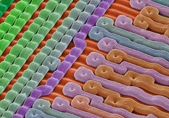 mikrochip mikroszkópos képe