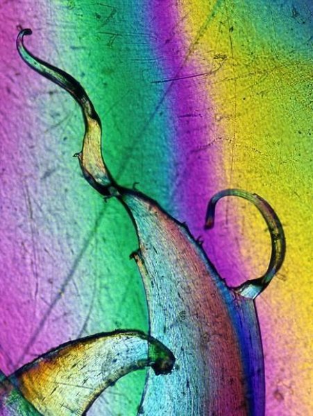 nejlon mikroszkóp alatt