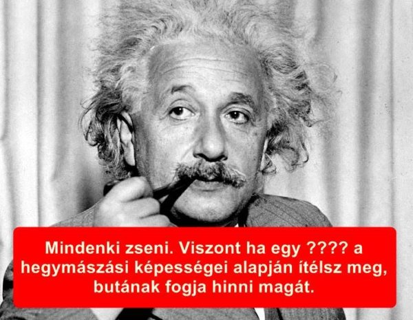 tudós idézetek kvíz